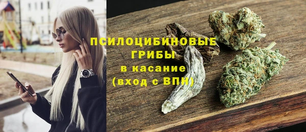 СК Арсеньев