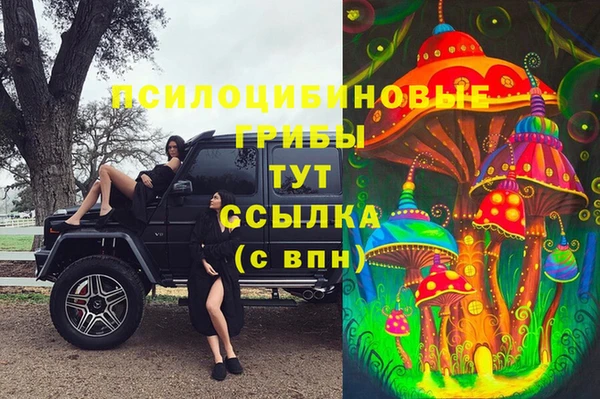 СК Арсеньев