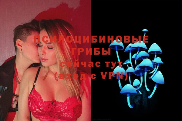 не бодяженный Армянск