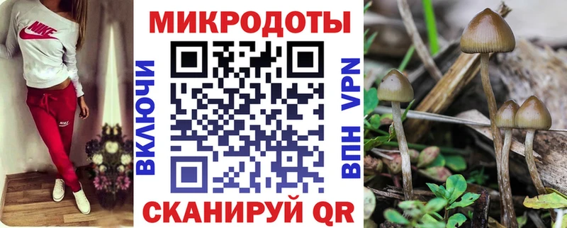 MEGA ONION  наркотики  Вичуга  Галлюциногенные грибы мицелий 